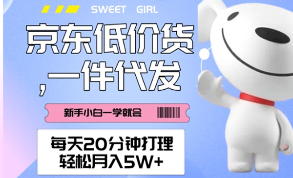 老秦轻创系列课程13：每天20分钟打理京东低价货，一件代发-轻松月入5W＋