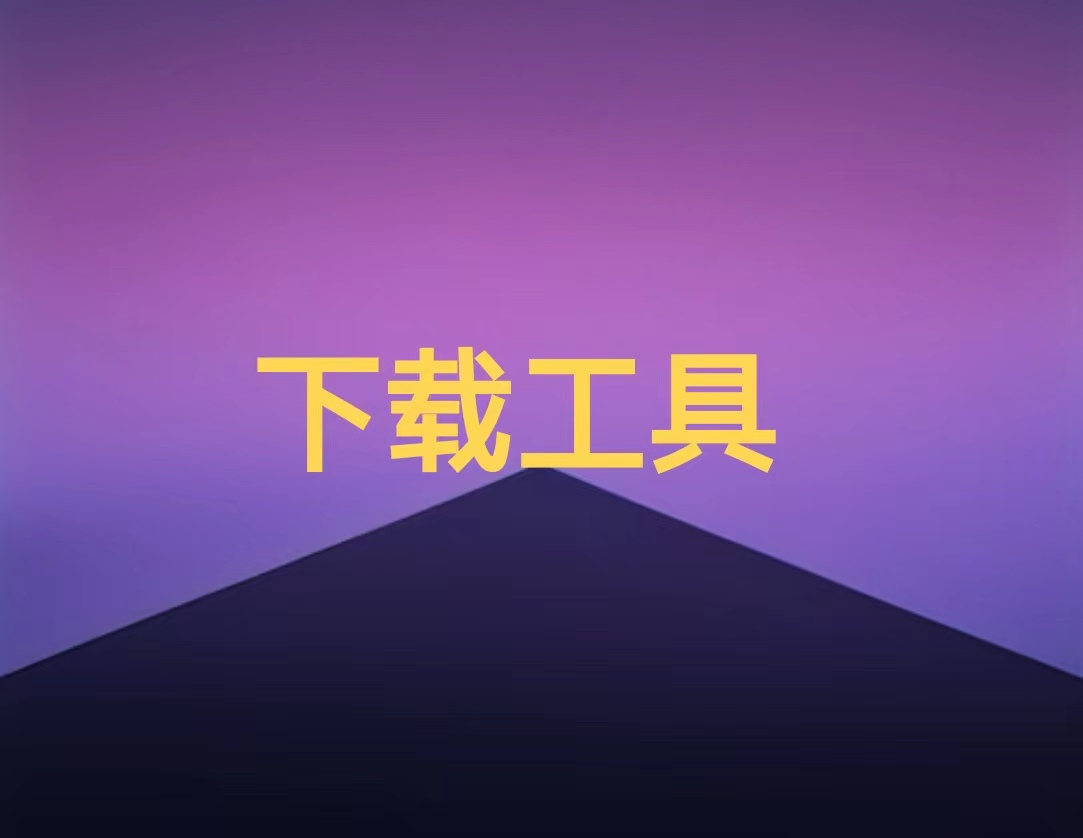 多平台视频解析下载