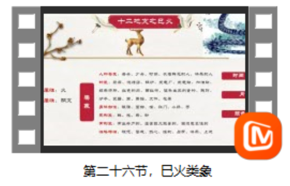 第二十六节 巳火类象