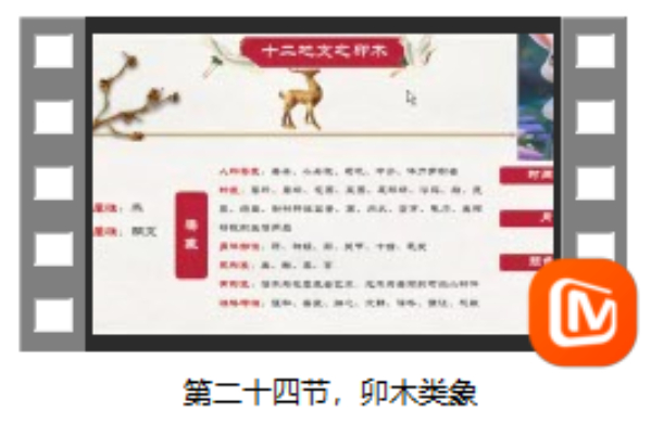 第二十四节 卯木类象