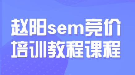 sem百度亮价排名优化教程，第30期培训课程视频