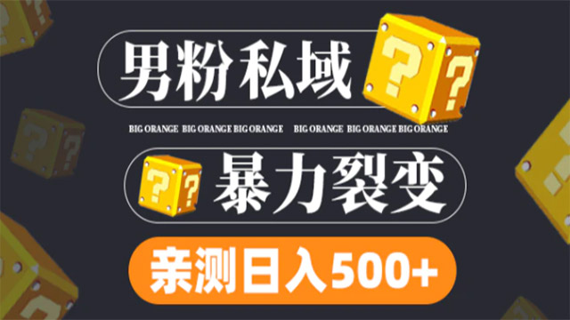 (38505期) · 男粉私域项目：亲测男粉裂变日入500+（视频教程）