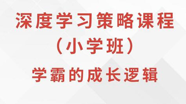 (38843期) · 深度学习策略课程·小学班学霸的成长逻辑